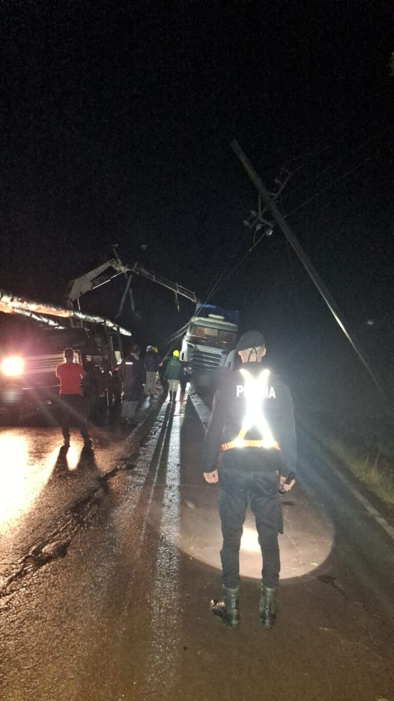 25 de Mayo: un camión chocó contra un poste de energía y dejó sin luz a parte de la localidad imagen-39