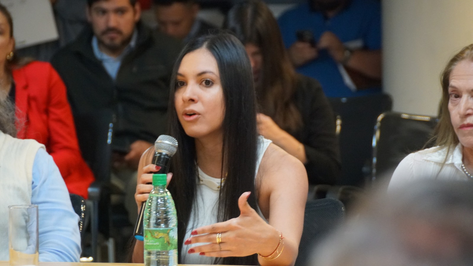 La Legislatura misionera debate la creación del Día Provincial del Arquitecto y Arquitecta Misionero para cada 1° de julio imagen-14