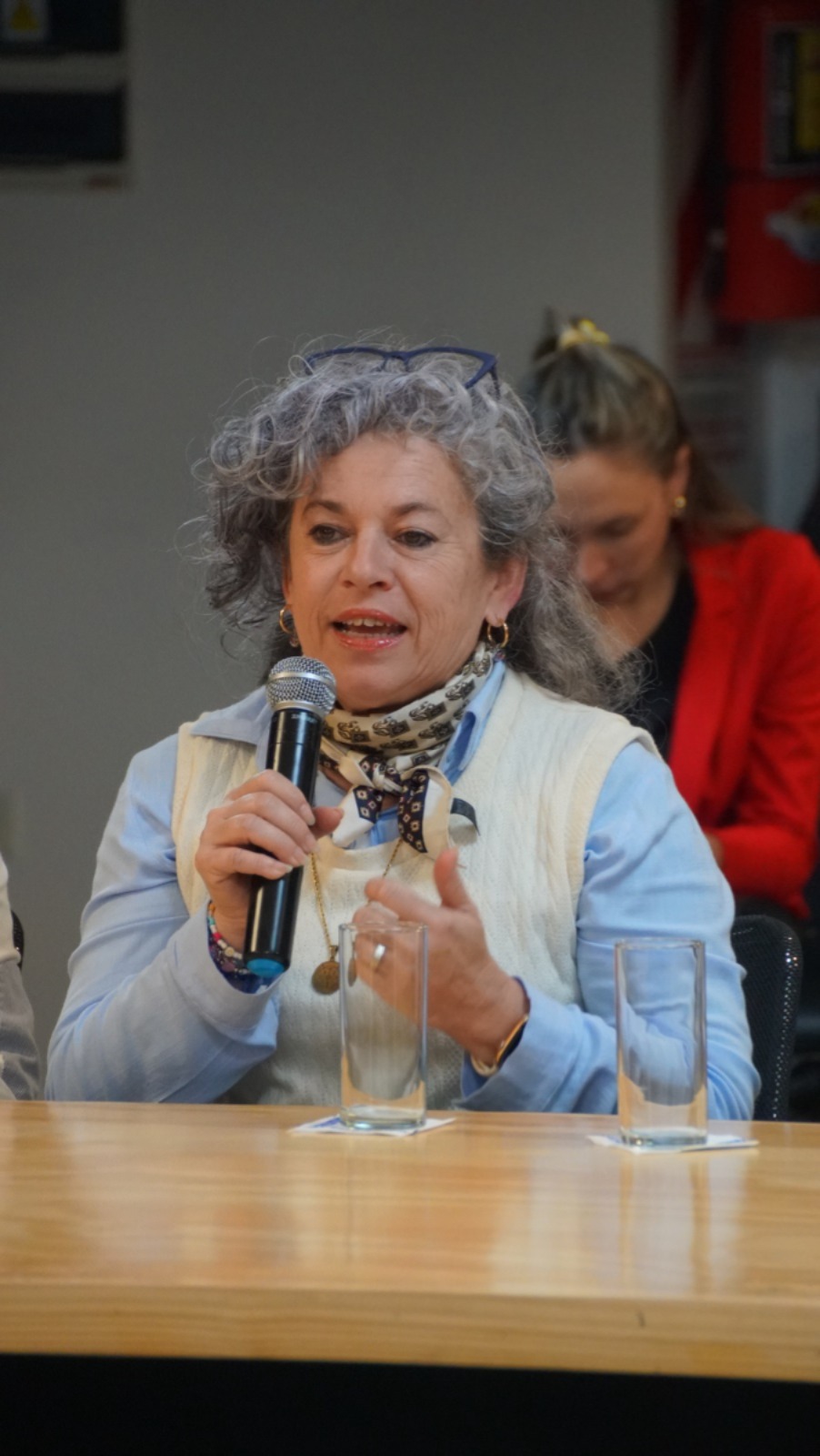 La Legislatura misionera debate la creación del Día Provincial del Arquitecto y Arquitecta Misionero para cada 1° de julio imagen-10