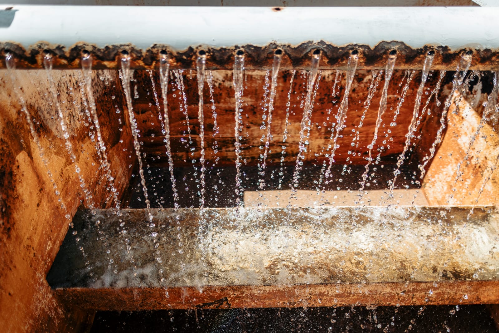 Passalacqua recorrió la puesta en valor de la planta potabilizadora de Colonia Alberdi imagen-12