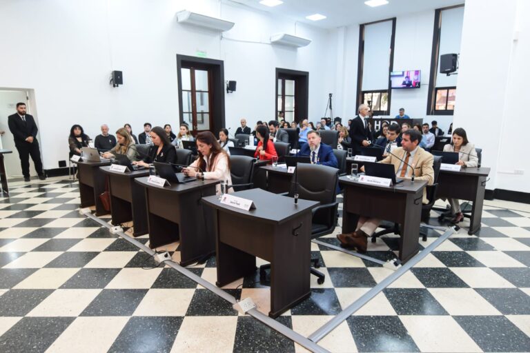 Construcción a futuro: ediles aprobaron un nuevo código de edificación imagen-41