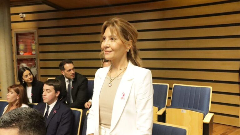 Ingresó al HCD la renuncia formal de la Defensora del Pueblo de Posadas, Valeria Fiore imagen-16