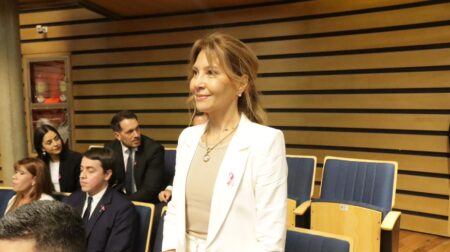 Fiore pasará a conformar el Superior Tribunal de Justicia imagen-7