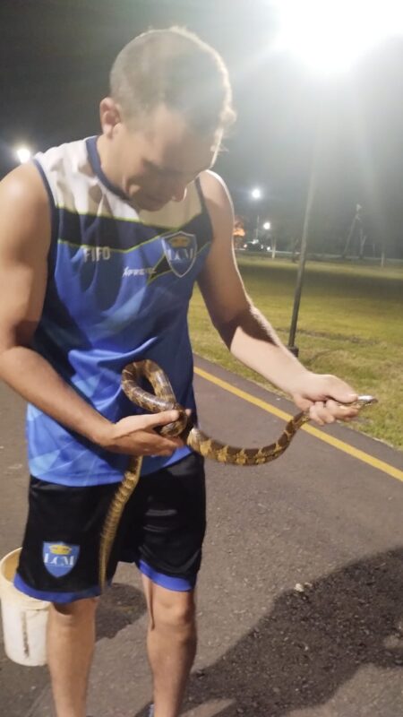 Hallan una peligrosa Ñacaniná del Monte en el Parque de la Ciudad Hallan una peligrosa Ñacaniná del Monte en el Parque de la Ciudad imagen-3