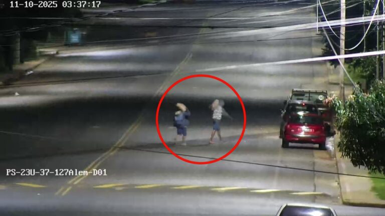 Cámaras detectaron a dos hombres robando en una obra; uno fue detenido imagen-49