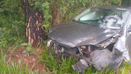 Despiste en Santa Inés: un automóvil impactó contra un árbol imagen-9