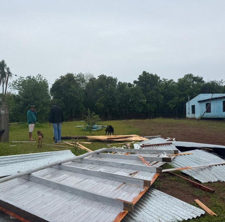 Temporal causó daños en una escuela rural y caída de árboles sobre la Ruta Provincial 211 imagen-24