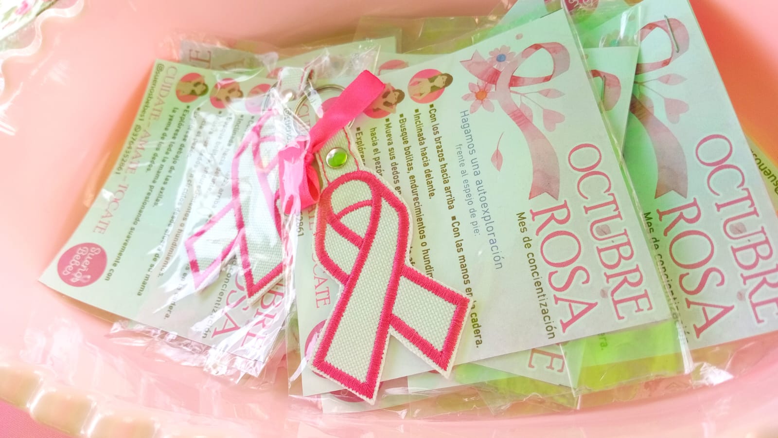 Exitosa Expo Festival por el 7mo aniversario del Instituto Misionero del Cáncer imagen-2