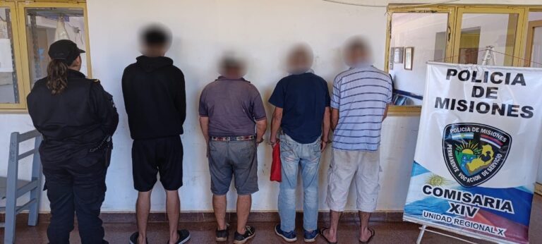 Cinco detenidos y una niña rescatada durante un operativo por grooming en Garupá y Posadas imagen-27