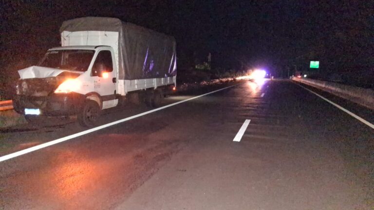 Santa Ana: un camión impactó contra un animal vacuno sobre la Ruta 12 imagen-12