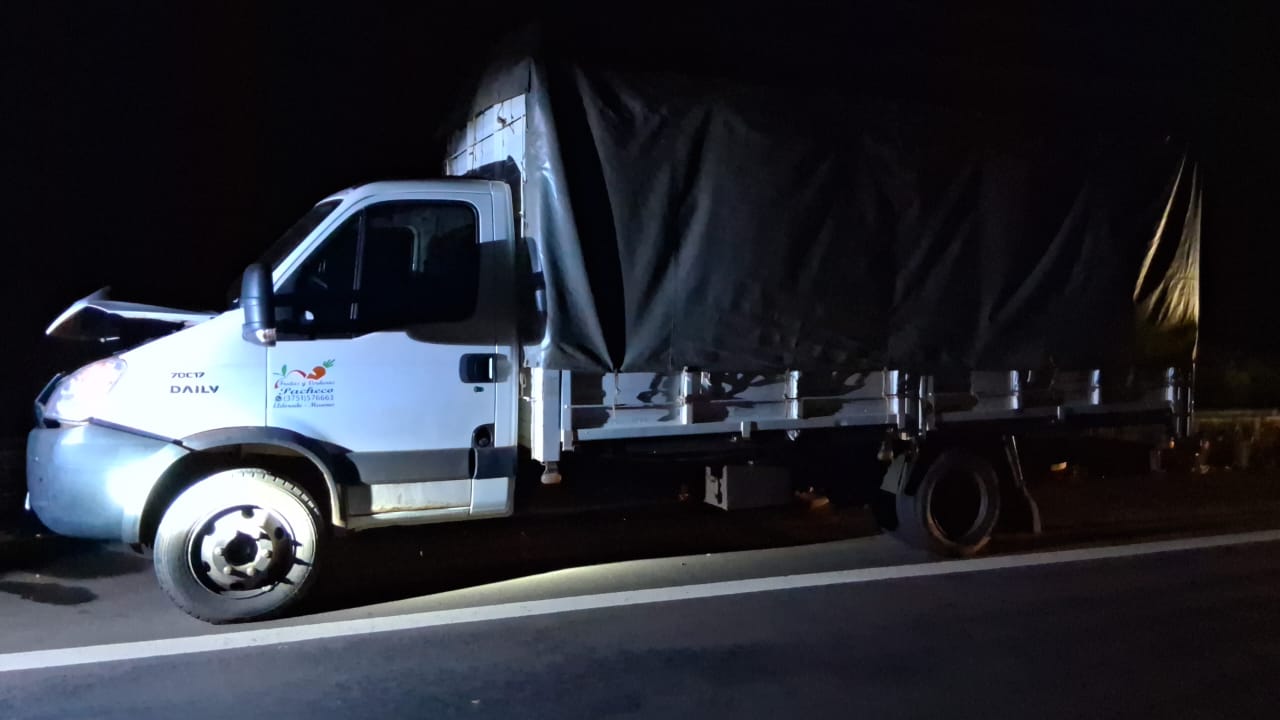 Santa Ana: un camión impactó contra un animal vacuno sobre la Ruta 12 imagen-2