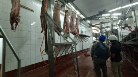 En inspección a frigorífico de Apóstoles verificaron cumplimiento de normativa vigente imagen-5