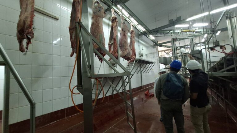 En inspección a frigorífico de Apóstoles verificaron cumplimiento de normativa vigente imagen-8