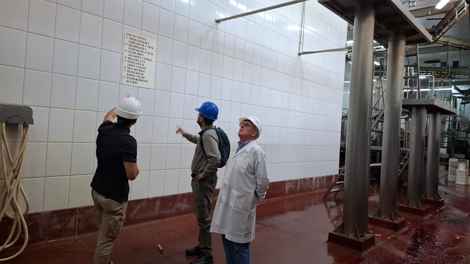 En inspección a frigorífico de Apóstoles verificaron cumplimiento de normativa vigente imagen-8