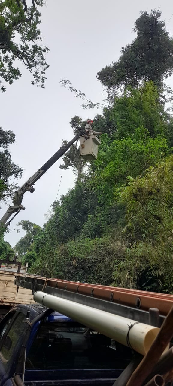 Energía de Misiones activó su protocolo de emergencias ante el paso del sistema de tormentas imagen-10
