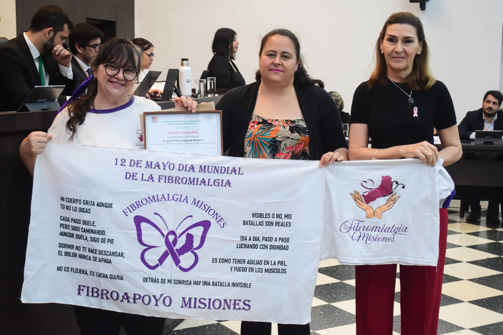 Concejo Deliberante: se conocieron los ternados a los Premios Arandú imagen-4