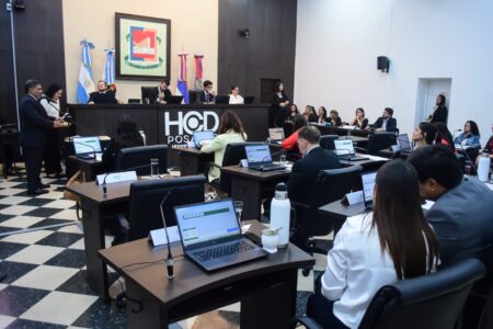 Concejo Deliberante: se conocieron los ternados a los Premios Arandú imagen-4