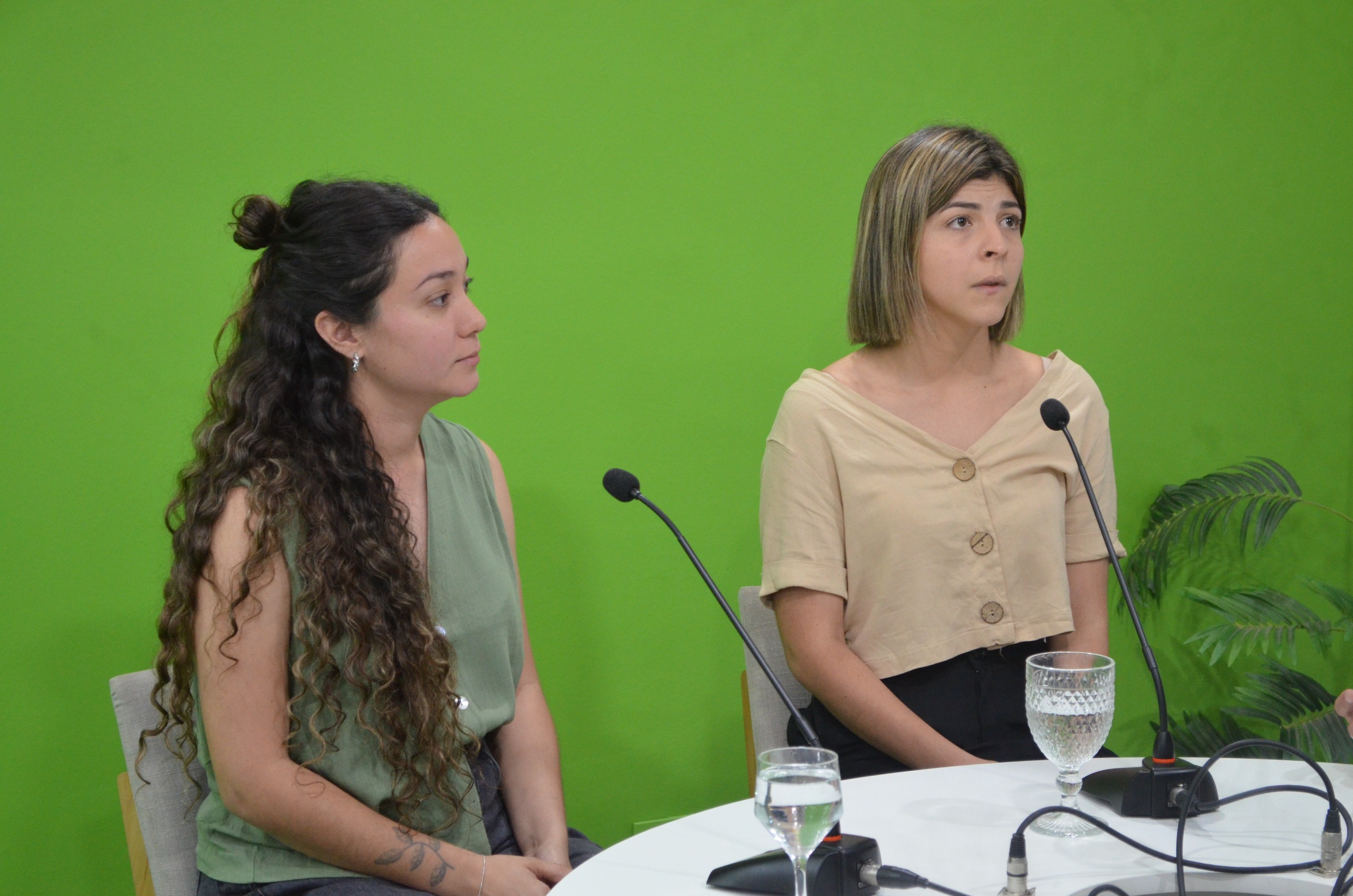 Reprogramación en Posadas: la jornada de arte y bienestar emocional “Empatía en el Carrillo” se realizará el 14 de noviembre imagen-2