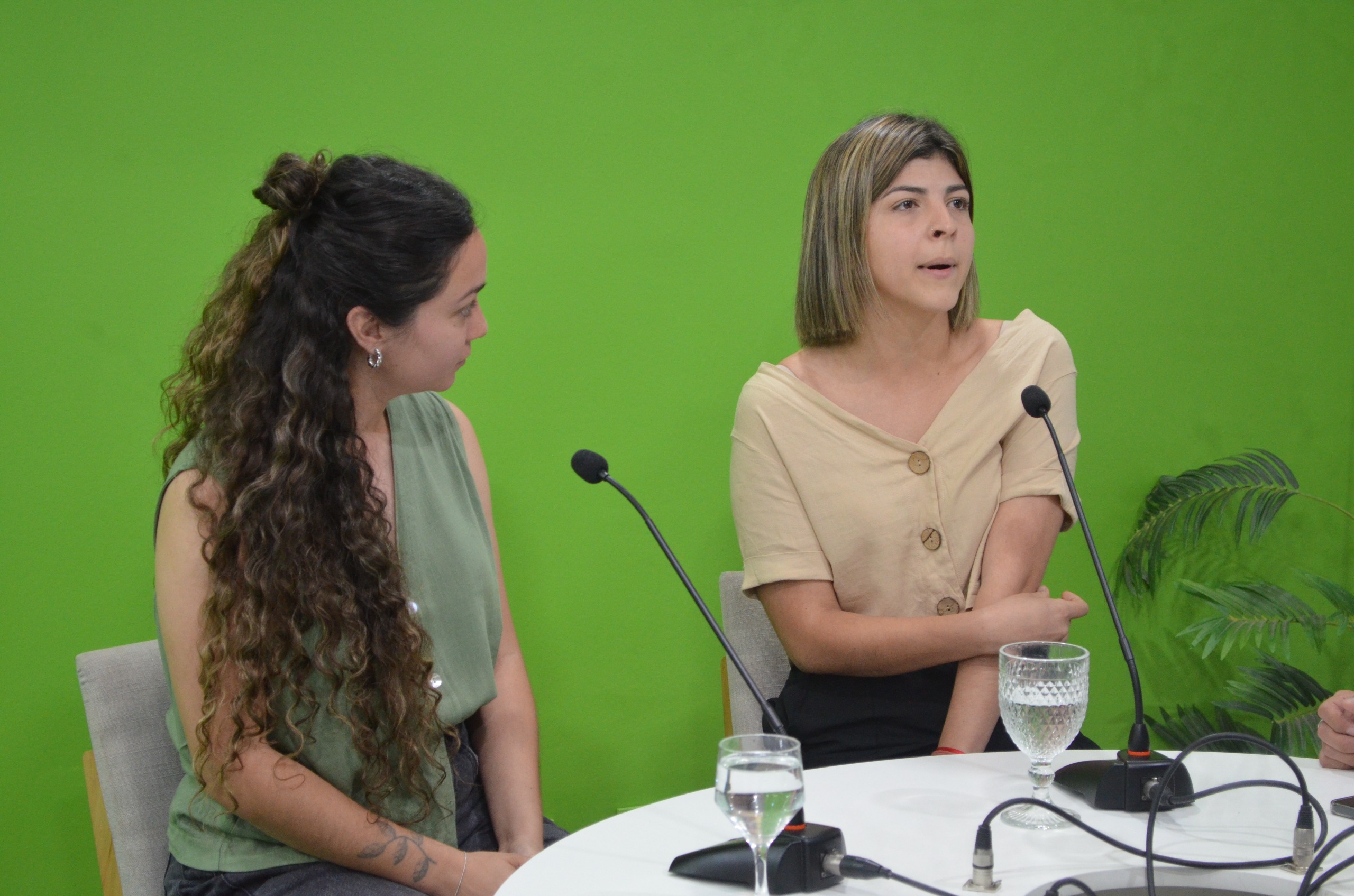 Reprogramación en Posadas: la jornada de arte y bienestar emocional “Empatía en el Carrillo” se realizará el 14 de noviembre imagen-8