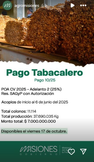 Este viernes 17 pagan a productores tabacaleros más de $7.000 millones imagen-2