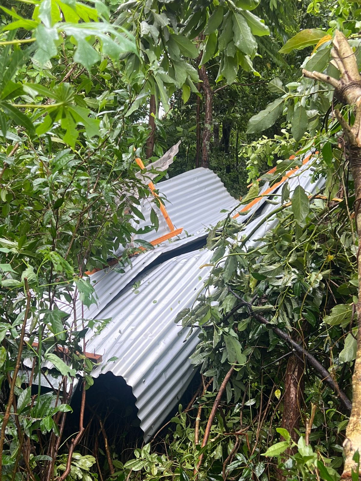 Temporal: realizan relevamientos por daños en distintas localidades y Protección Civil ya asistió a siete familias en Posadas imagen-6