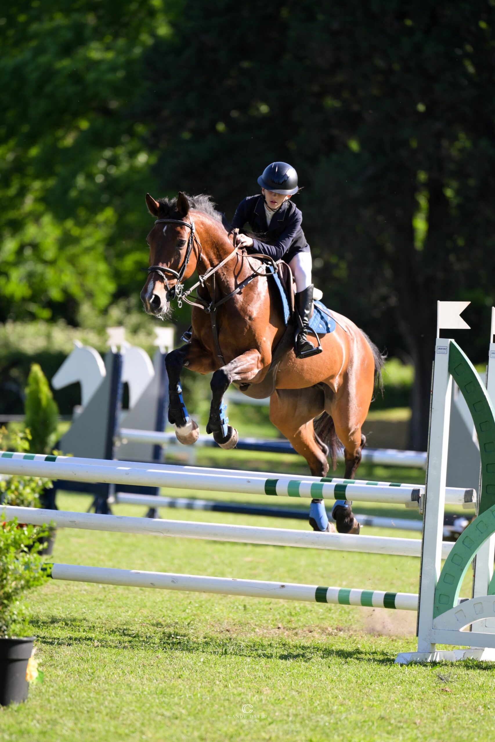 Equitación: Misiones logró 3 campeonatos en el Torneo Federal 5 Equitación: Misiones logró 3 campeonatos en el Torneo Federal imagen-4