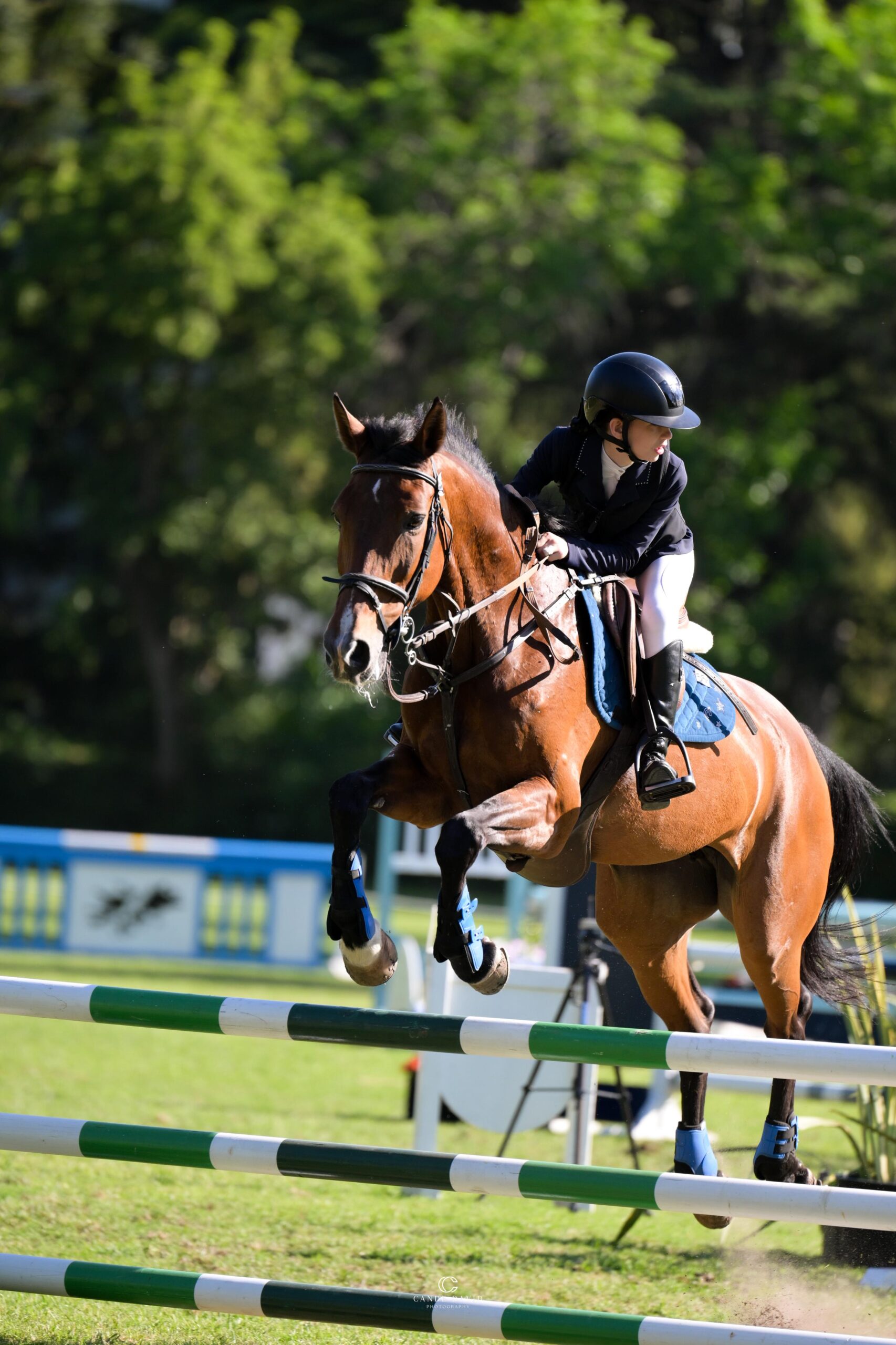 Equitación: Misiones logró 3 campeonatos en el Torneo Federal 3 Equitación: Misiones logró 3 campeonatos en el Torneo Federal imagen-2