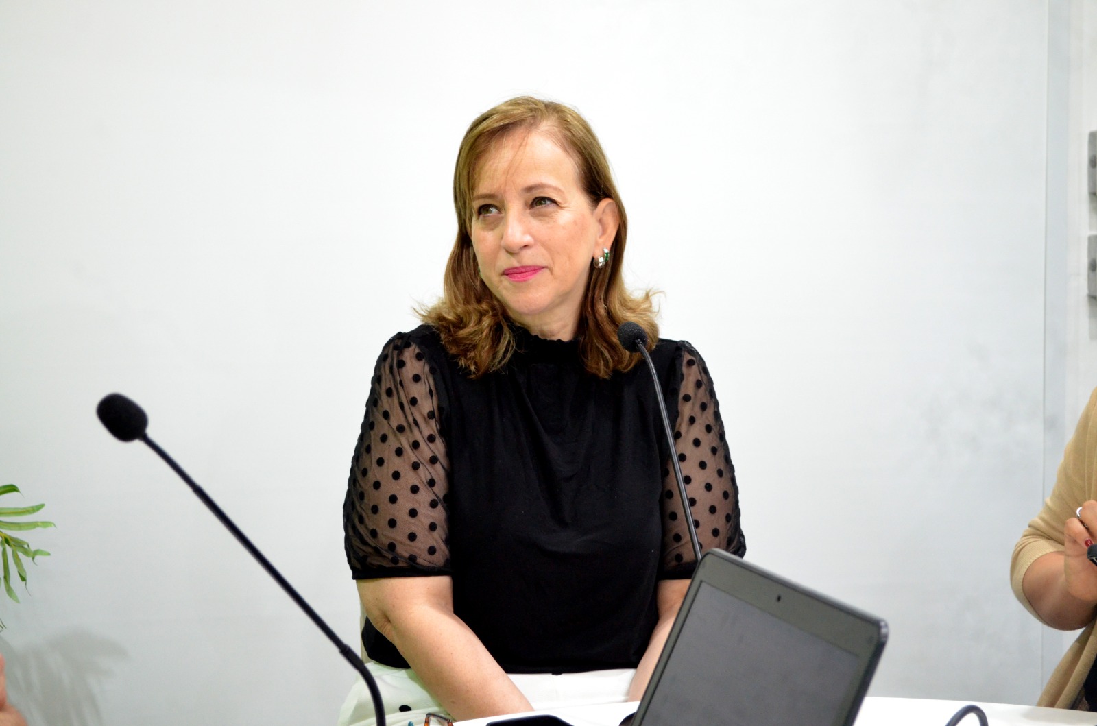 El 18% de los argentinos padece tinnitus: especialistas presentarán en Posadas un seminario sobre diagnóstico, causas y tratamientos disponibles imagen-8