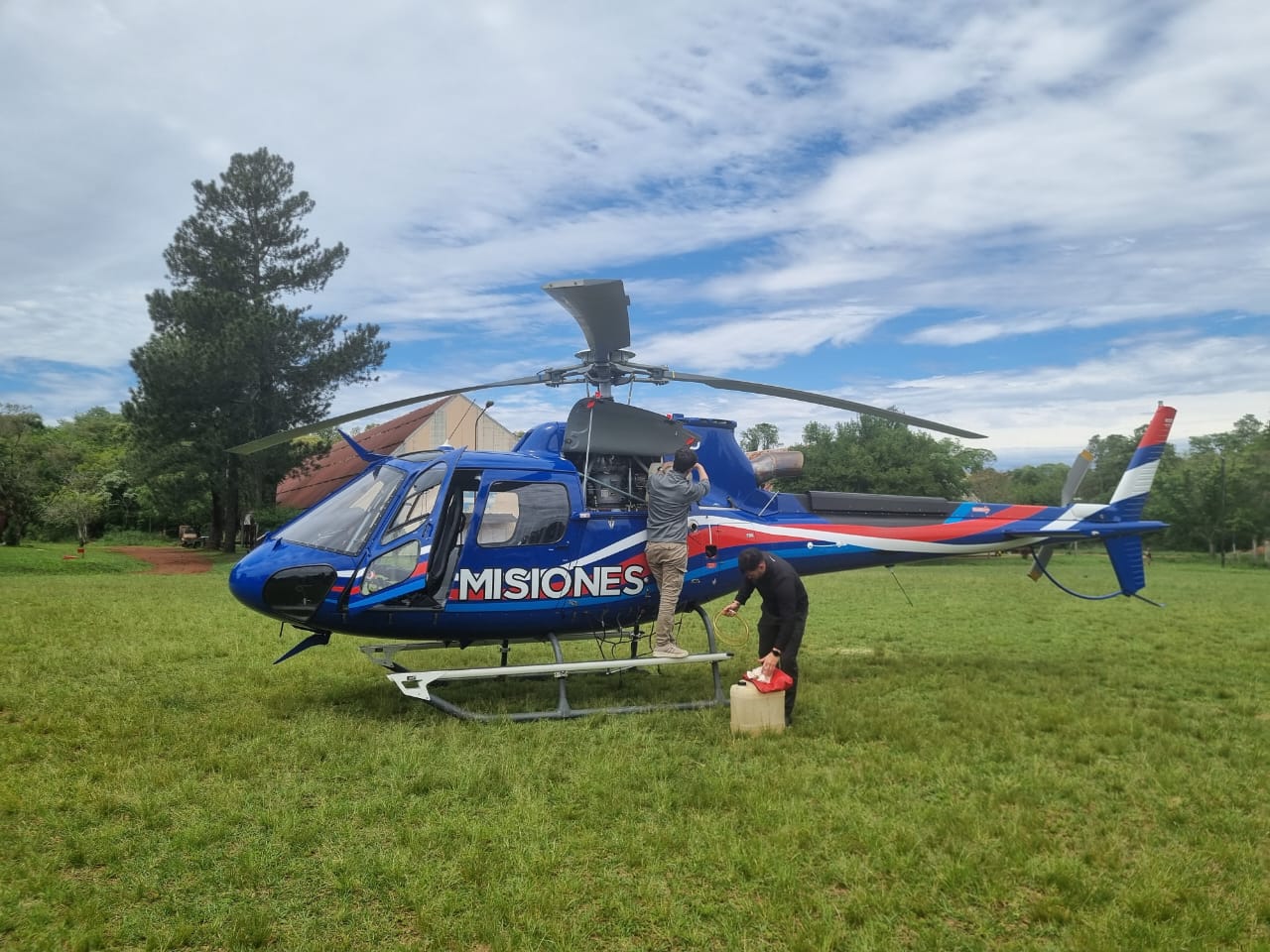 Puerto Iguazú: en un operativo inédito en el país, la yaguareté Pará y sus cachorros fueron capturados y relocalizados en un área natural protegida 5 Puerto Iguazú: en un operativo inédito en el país, la yaguareté Pará y sus cachorros fueron capturados y relocalizados en un área natural protegida imagen-4