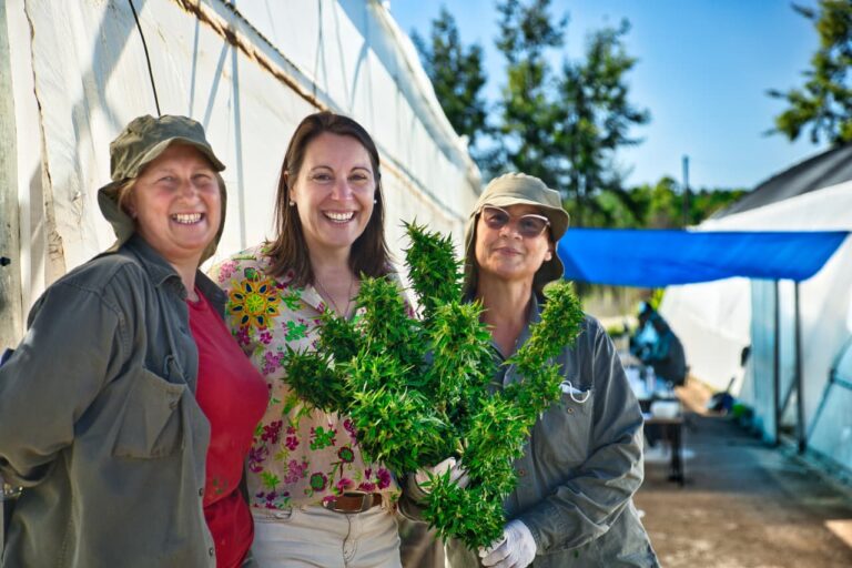 Biofábrica Misiones S.A., 19 años desarrollando soluciones biotecnológicas imagen-14