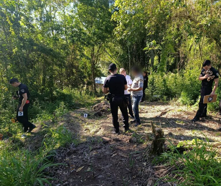 Un hombre murió tras recibir una descarga eléctrica mientras cortaba el pasto en Puerto Libertad imagen-13