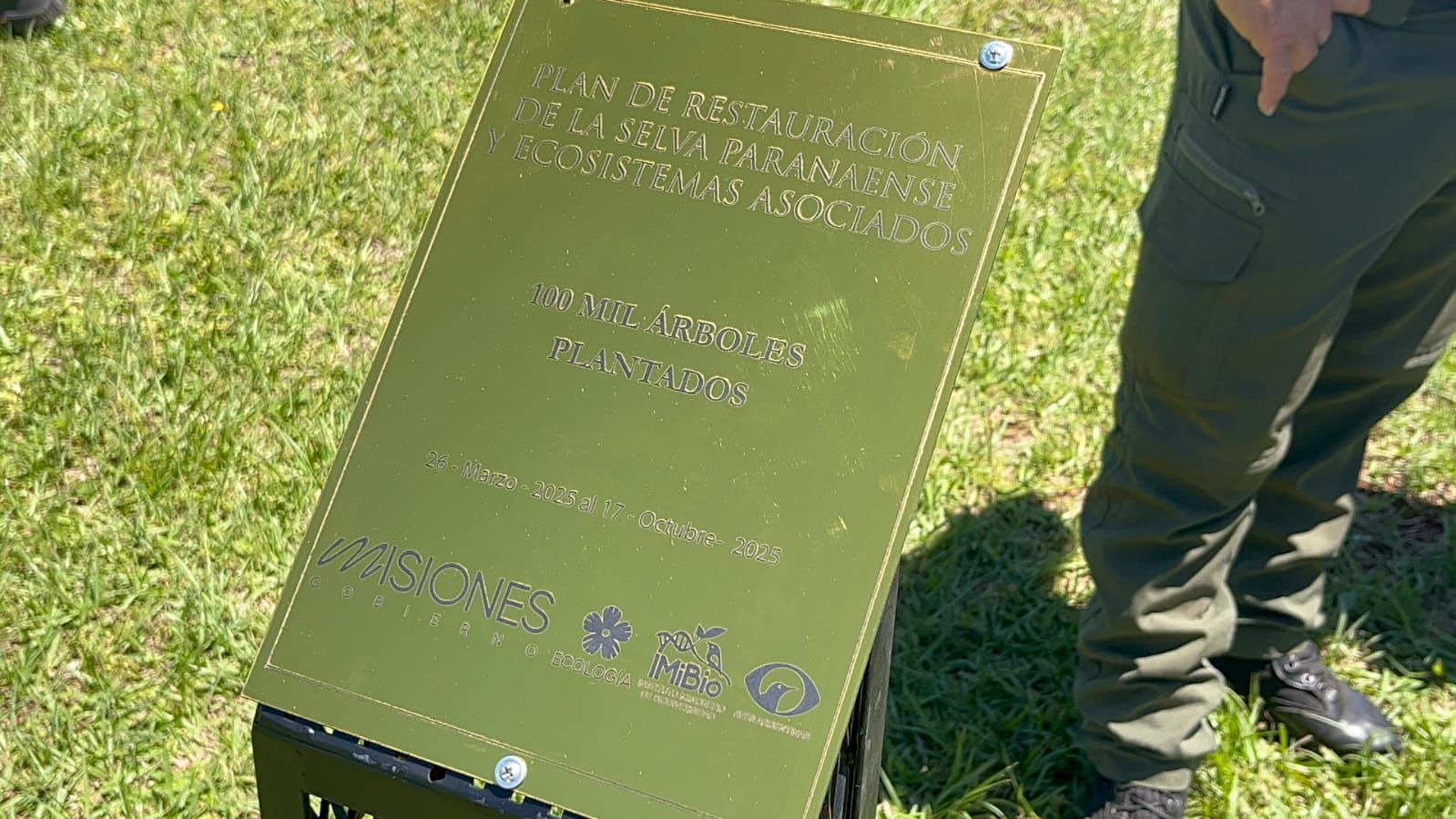 Misiones celebra la plantación del árbol número 100.000 y avanza en la restauración de la Selva Paranaense 7 Misiones celebra la plantación del árbol número 100.000 y avanza en la restauración de la Selva Paranaense imagen-6