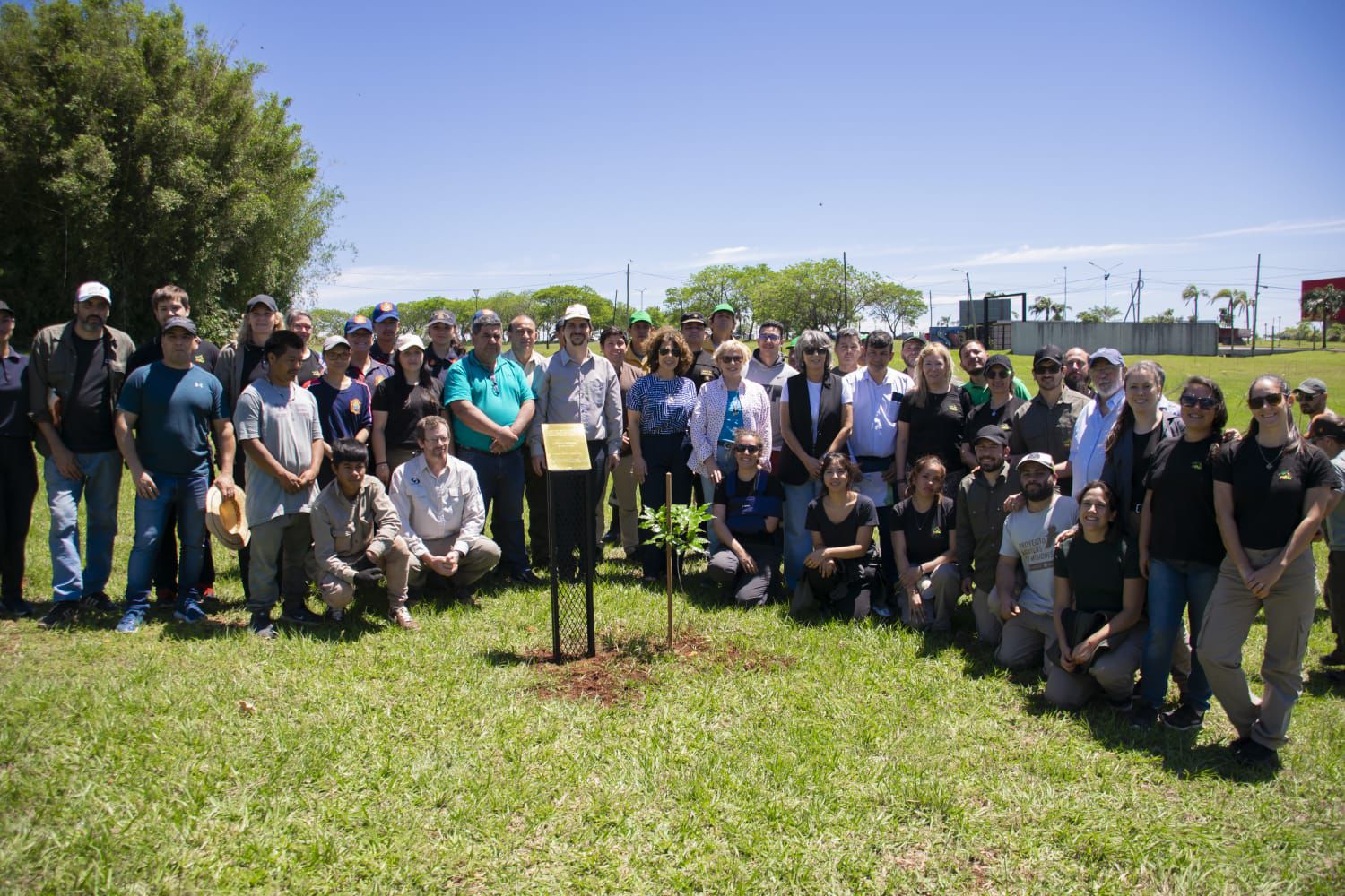 Misiones celebra la plantación del árbol número 100.000 y avanza en la restauración de la Selva Paranaense 5 Misiones celebra la plantación del árbol número 100.000 y avanza en la restauración de la Selva Paranaense imagen-4