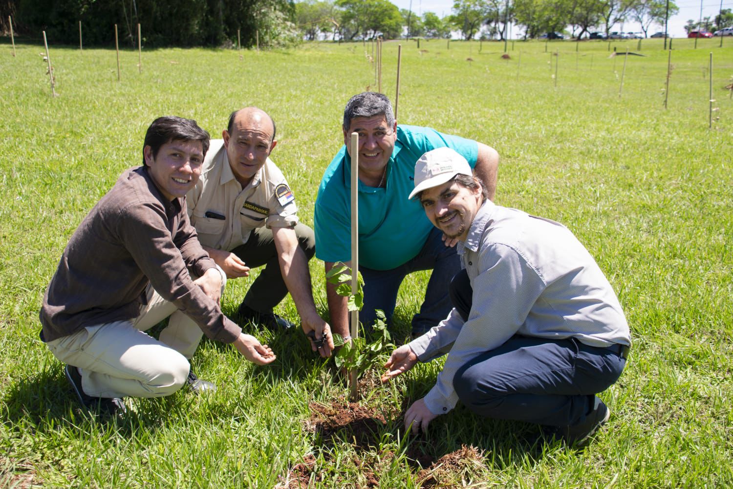 Misiones celebra la plantación del árbol número 100.000 y avanza en la restauración de la Selva Paranaense 15 Misiones celebra la plantación del árbol número 100.000 y avanza en la restauración de la Selva Paranaense imagen-14