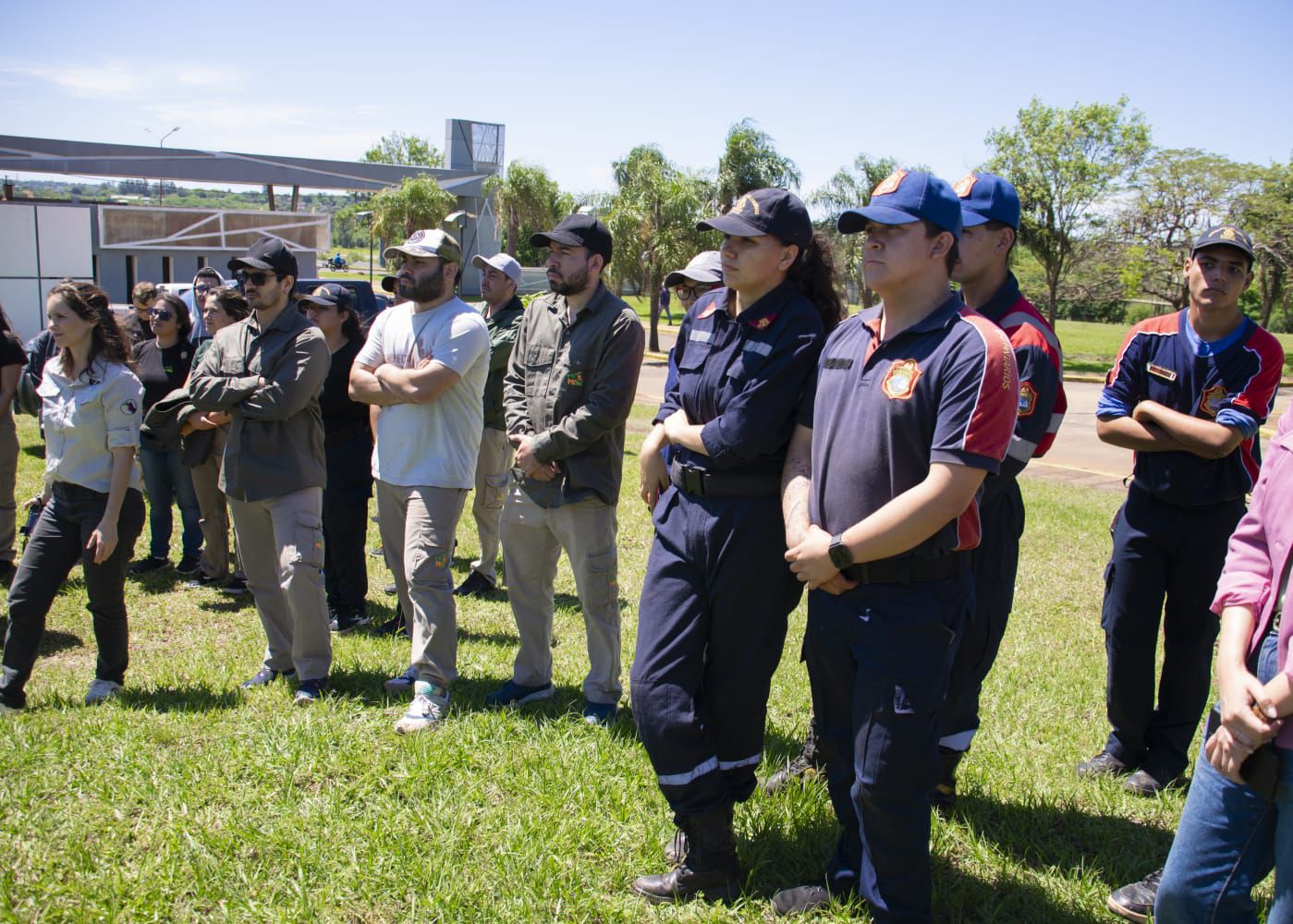 Misiones celebra la plantación del árbol número 100.000 y avanza en la restauración de la Selva Paranaense 17 Misiones celebra la plantación del árbol número 100.000 y avanza en la restauración de la Selva Paranaense imagen-16