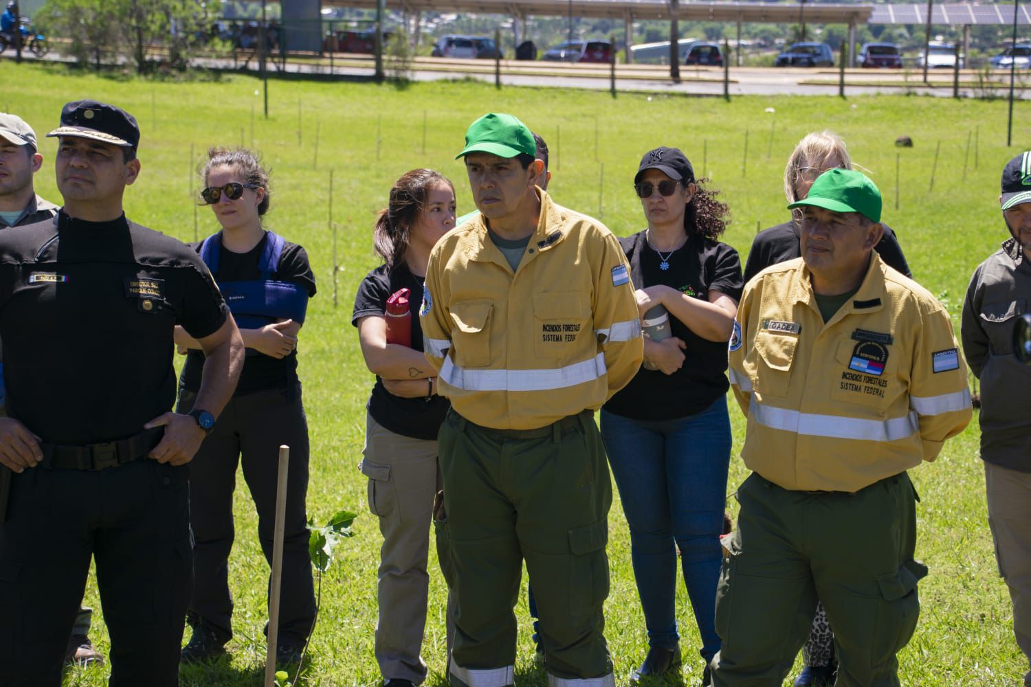 Misiones celebra la plantación del árbol número 100.000 y avanza en la restauración de la Selva Paranaense 13 Misiones celebra la plantación del árbol número 100.000 y avanza en la restauración de la Selva Paranaense imagen-12