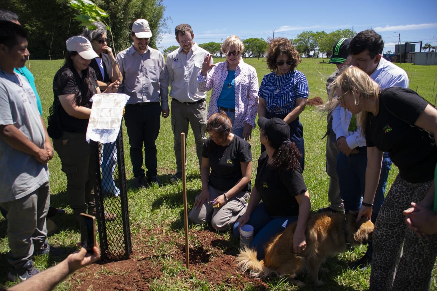 Misiones celebra la plantación del árbol número 100.000 y avanza en la restauración de la Selva Paranaense 21 Misiones celebra la plantación del árbol número 100.000 y avanza en la restauración de la Selva Paranaense imagen-20