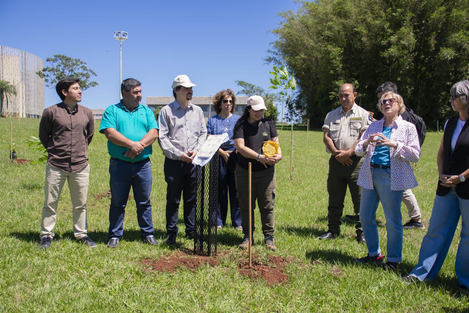 Misiones celebra la plantación del árbol número 100.000 y avanza en la restauración de la Selva Paranaense 19 Misiones celebra la plantación del árbol número 100.000 y avanza en la restauración de la Selva Paranaense imagen-18