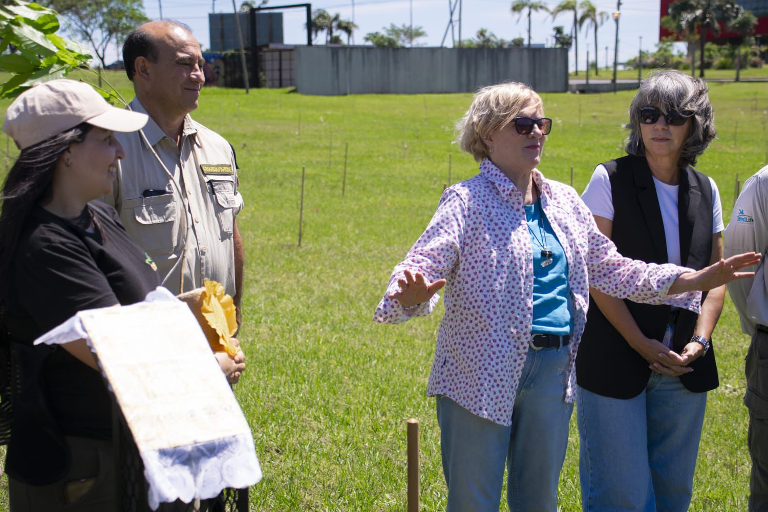 Misiones celebra la plantación del árbol número 100.000 y avanza en la restauración de la Selva Paranaense 25 Misiones celebra la plantación del árbol número 100.000 y avanza en la restauración de la Selva Paranaense imagen-24