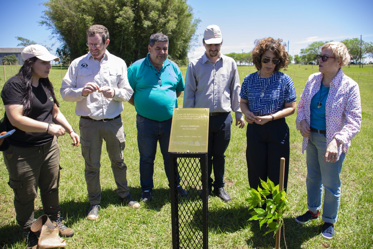 Misiones celebra la plantación del árbol número 100.000 y avanza en la restauración de la Selva Paranaense 27 Misiones celebra la plantación del árbol número 100.000 y avanza en la restauración de la Selva Paranaense imagen-26