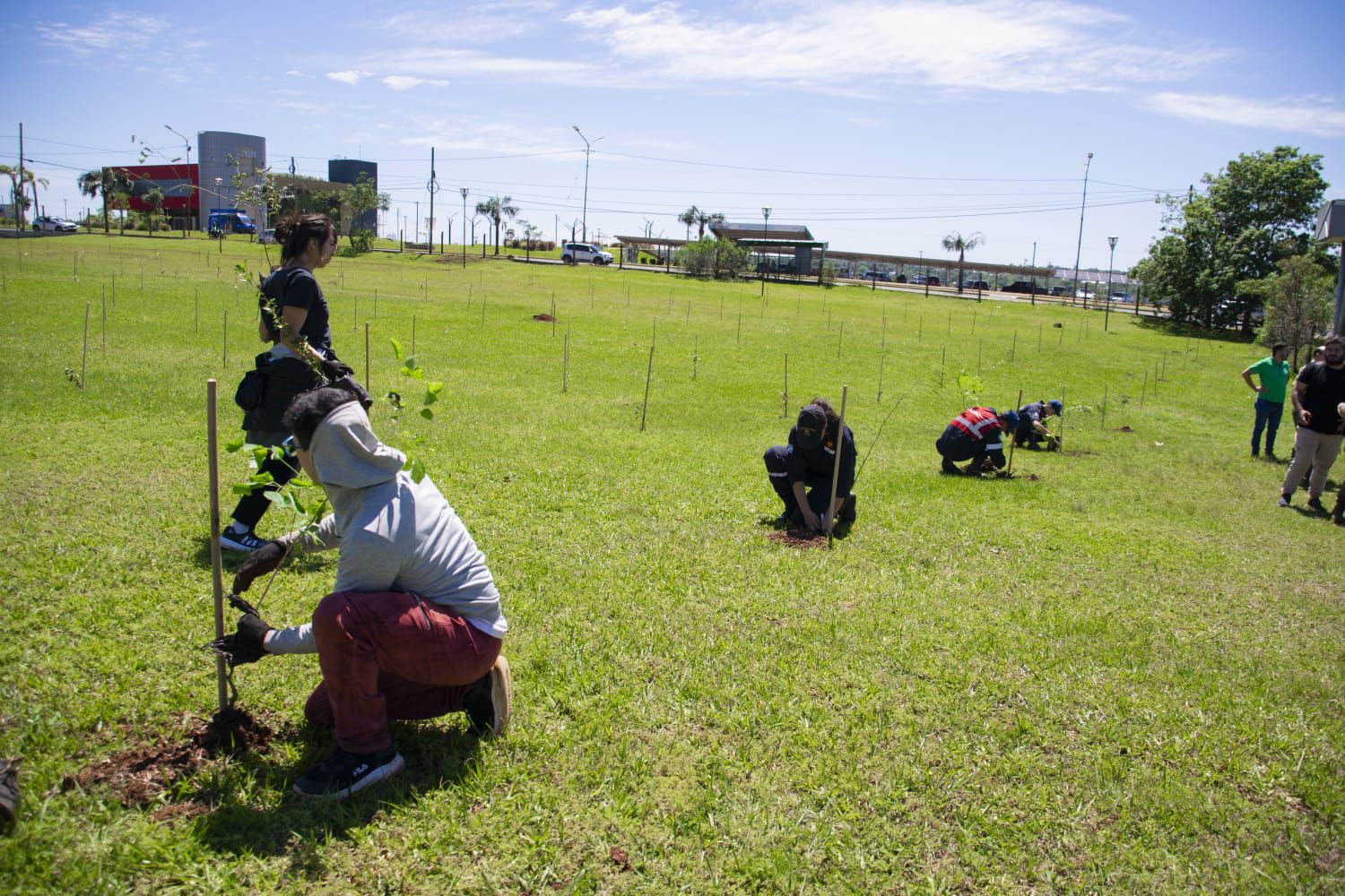 Misiones celebra la plantación del árbol número 100.000 y avanza en la restauración de la Selva Paranaense 29 Misiones celebra la plantación del árbol número 100.000 y avanza en la restauración de la Selva Paranaense imagen-28