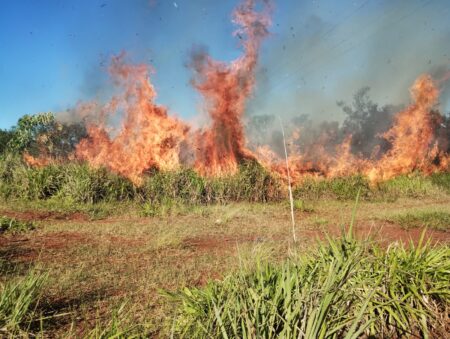 Incendio de malezas en la zona del Peaje San Ana Incendio de malezas en la zona del Peaje San Ana imagen-9