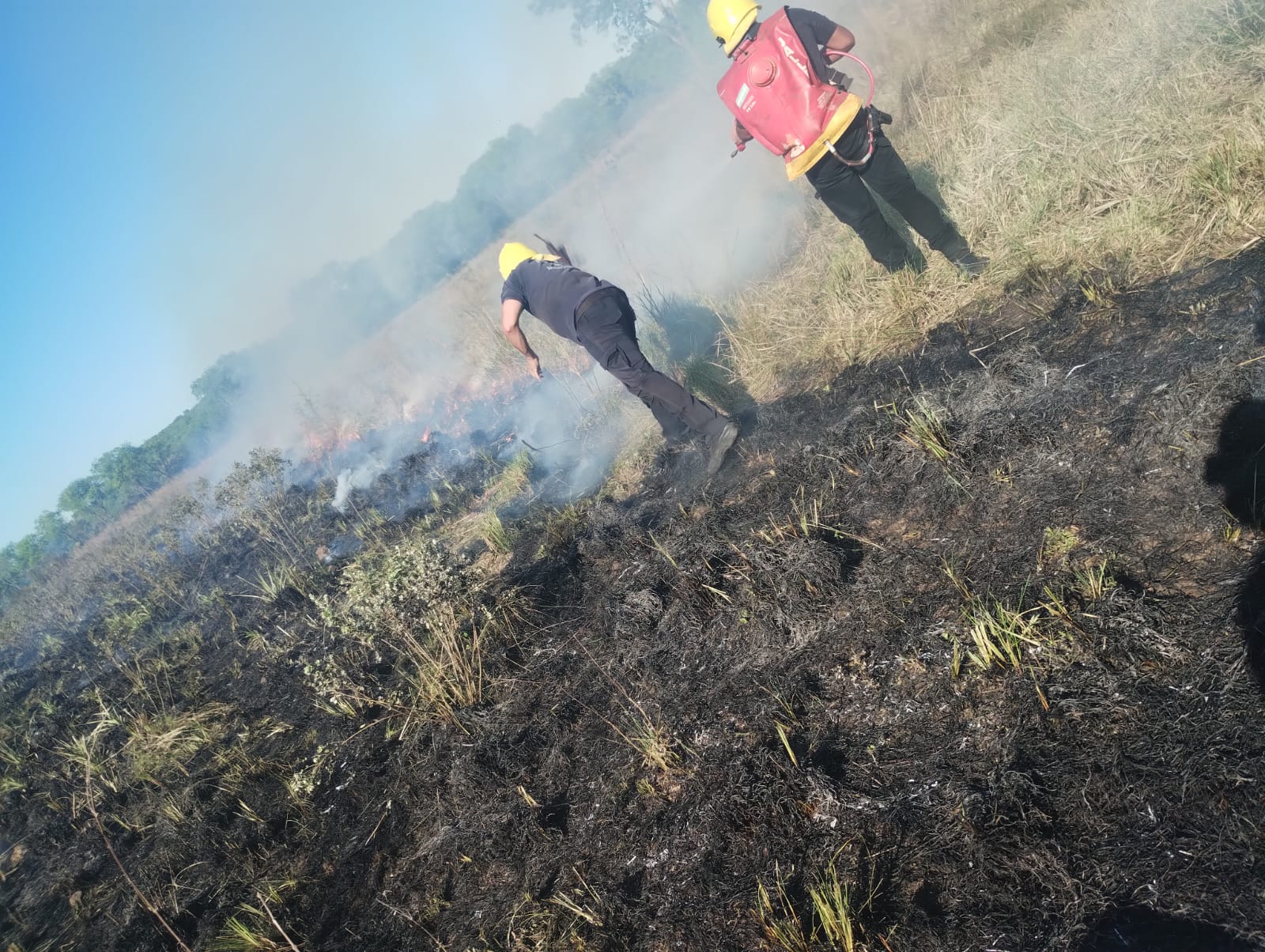 Incendio de malezas en la zona del Peaje San Ana 3 Incendio de malezas en la zona del Peaje San Ana imagen-2