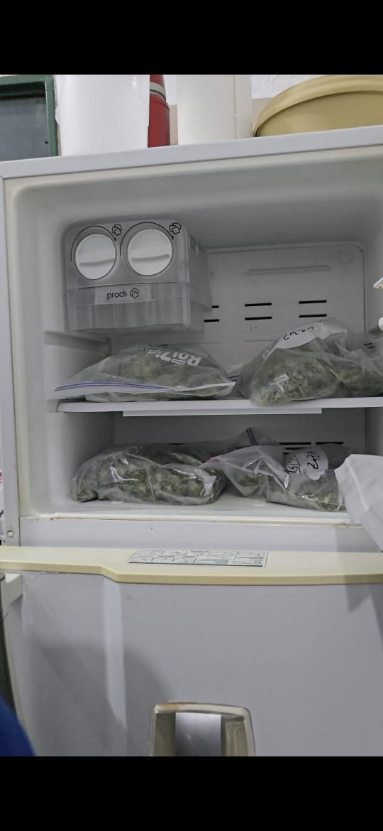 Más de 100 plantas de marihuana, control térmico y una cartera de clientes: así funcionaba un búnker de droga en Posadas 11 Más de 100 plantas de marihuana, control térmico y una cartera de clientes: así funcionaba un búnker de droga en Posadas imagen-10