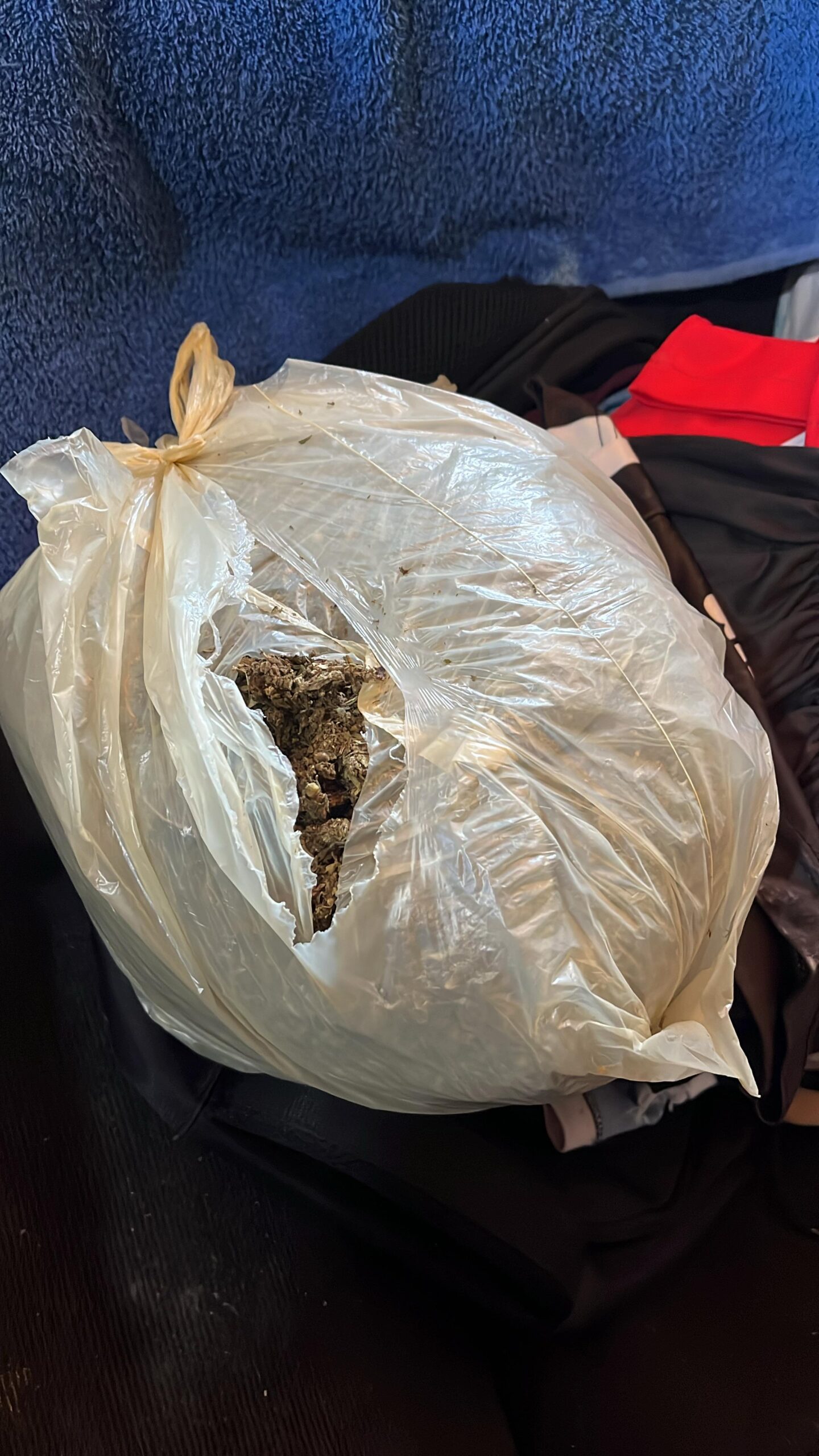 Capturan a siete miembros de una banda criminal en Posadas: secuestraron armas, droga y bienes robados 5 Capturan a siete miembros de una banda criminal en Posadas: secuestraron armas, droga y bienes robados imagen-4