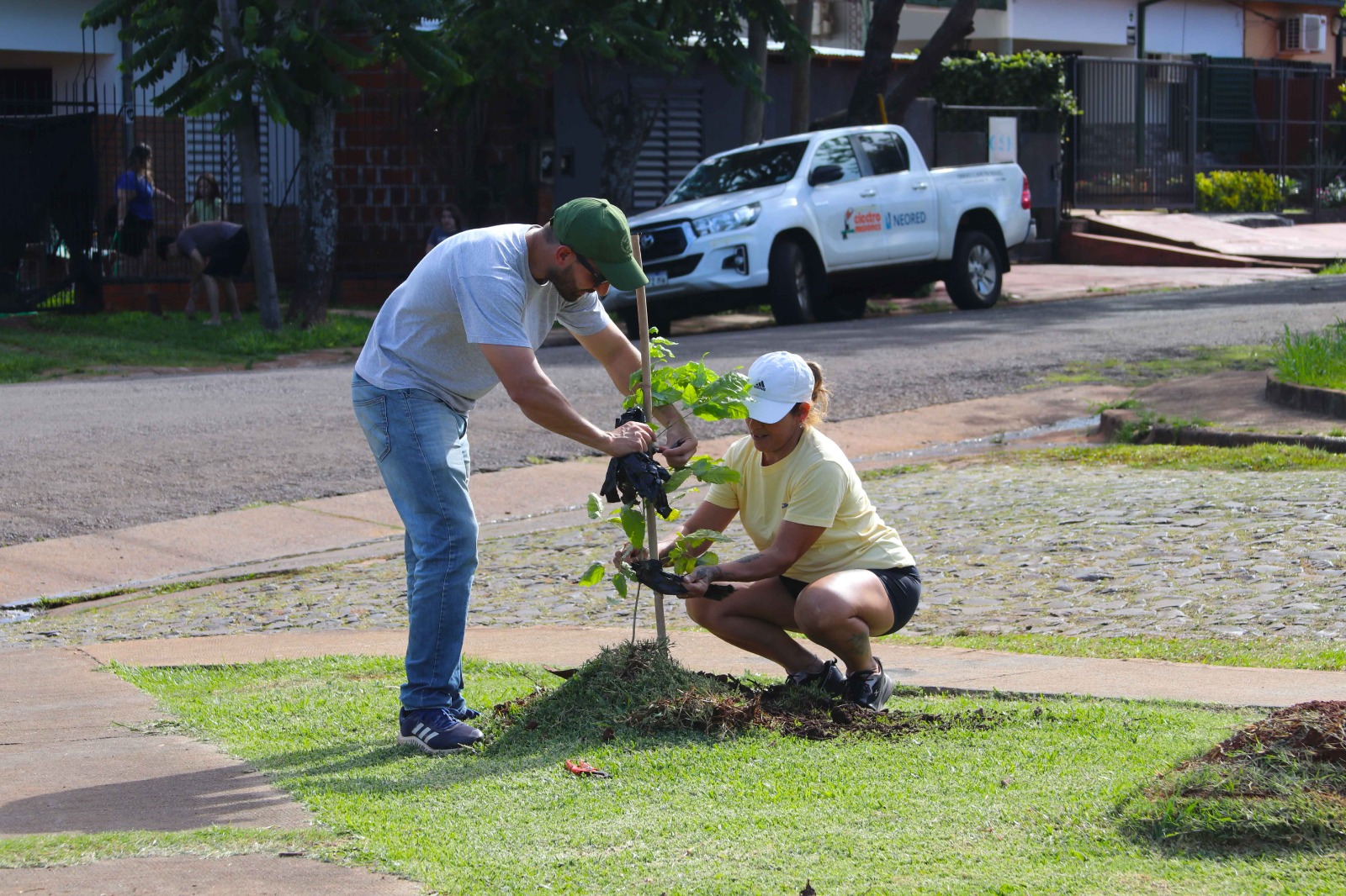 "Barrios Más Verdes" realizó otra exitosa plantación de árboles 5 "Barrios Más Verdes" realizó otra exitosa plantación de árboles imagen-4