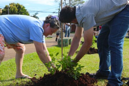 "Barrios Más Verdes" realizó otra exitosa plantación de árboles imagen-10