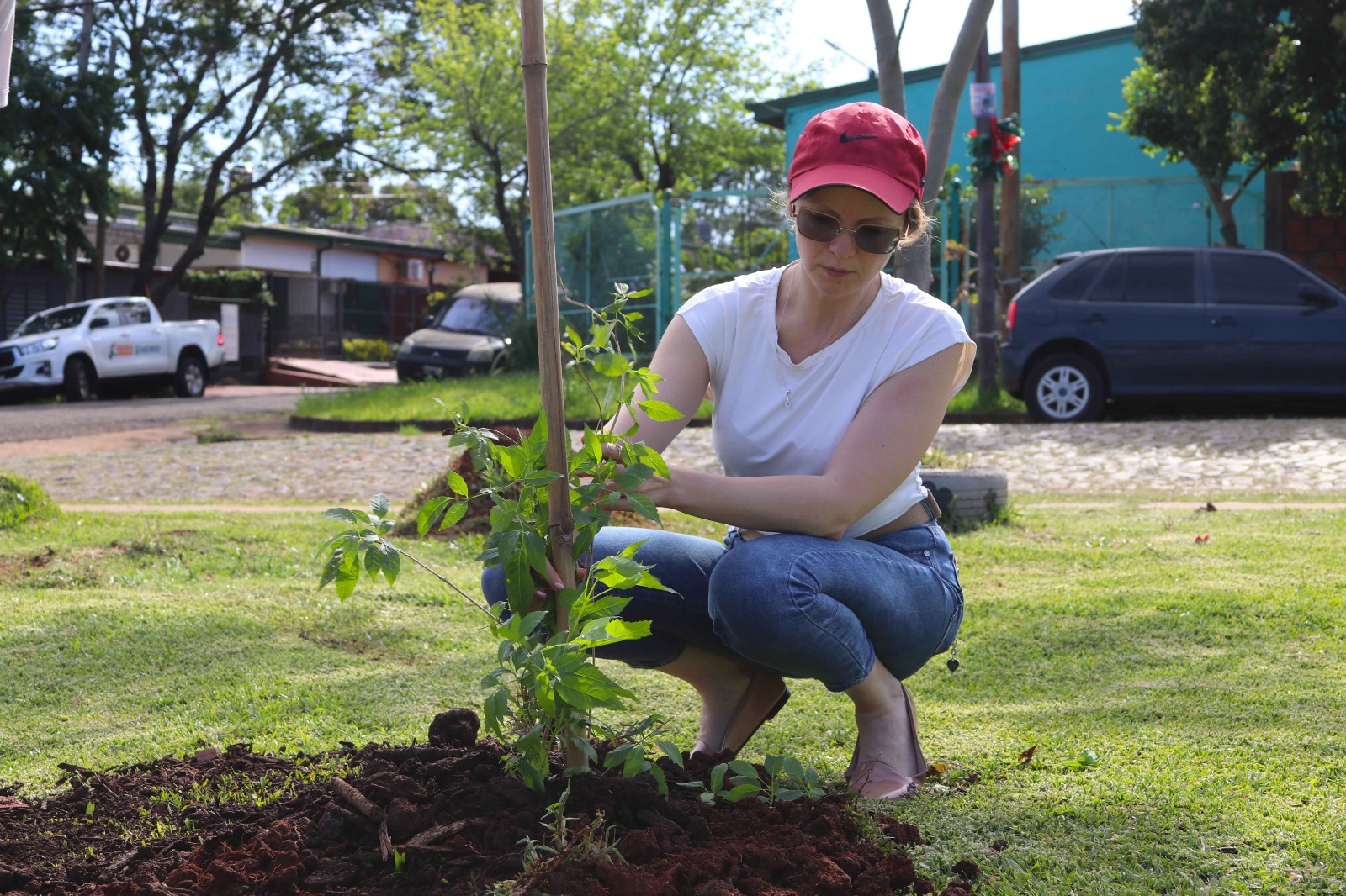 "Barrios Más Verdes" realizó otra exitosa plantación de árboles 3 "Barrios Más Verdes" realizó otra exitosa plantación de árboles imagen-2