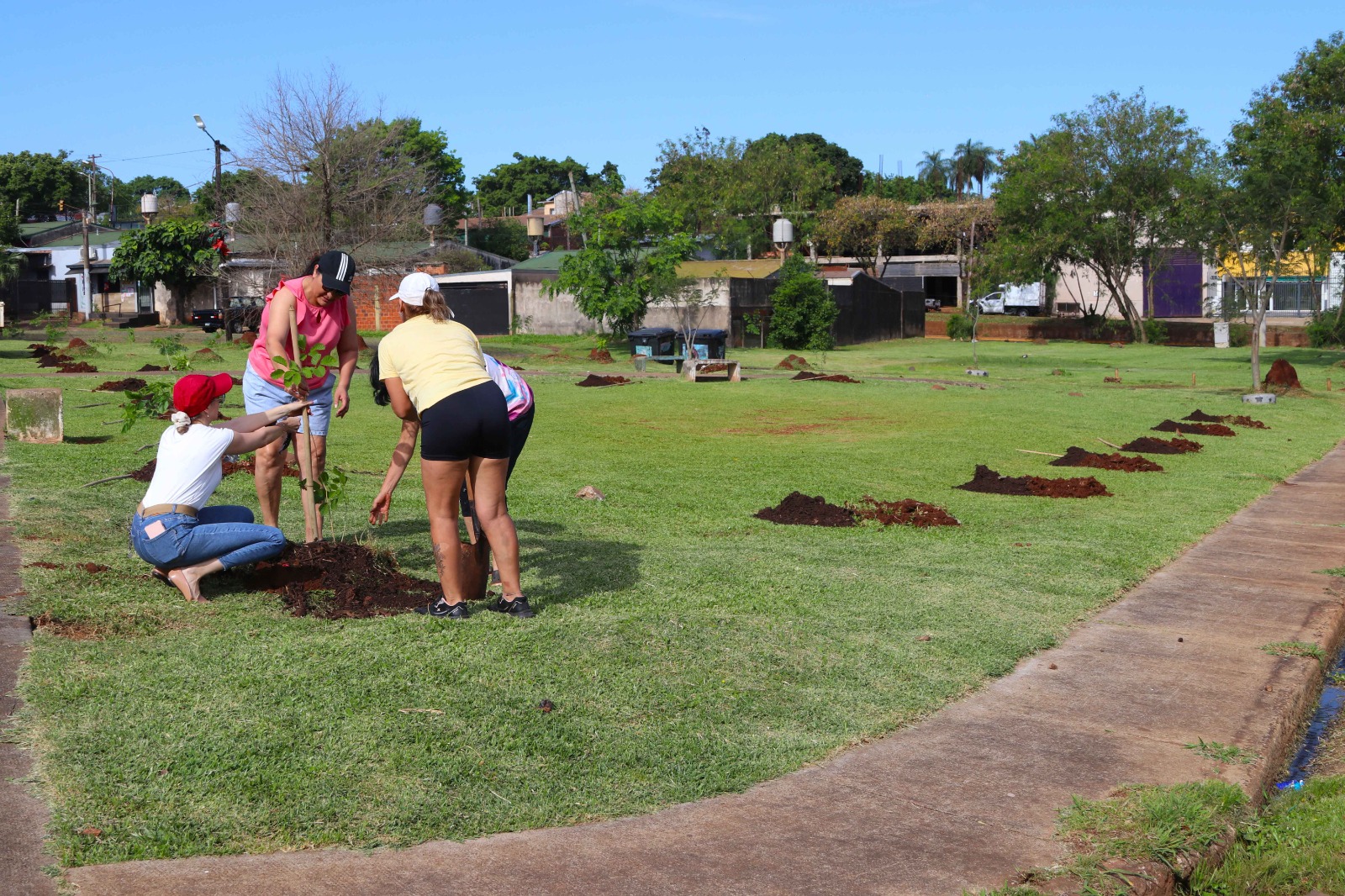 "Barrios Más Verdes" realizó otra exitosa plantación de árboles 9 "Barrios Más Verdes" realizó otra exitosa plantación de árboles imagen-8