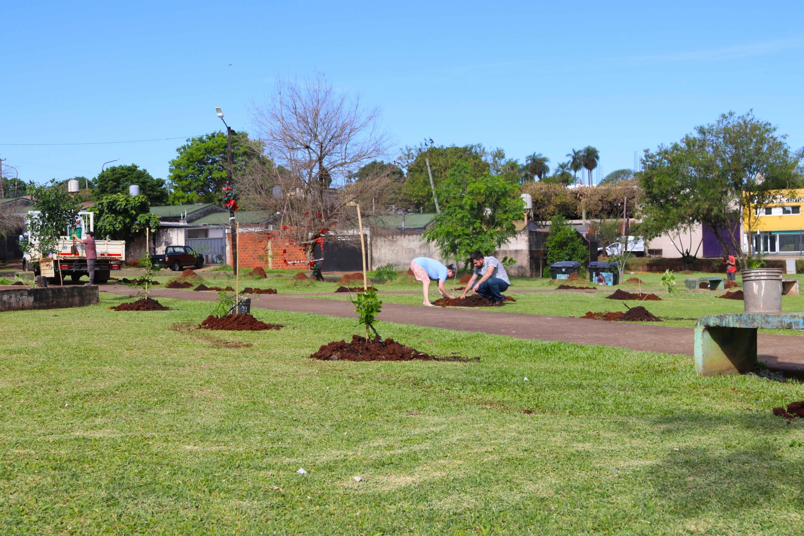 "Barrios Más Verdes" realizó otra exitosa plantación de árboles 13 "Barrios Más Verdes" realizó otra exitosa plantación de árboles imagen-12
